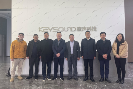 上海張江集團、中國電子音響行業協會領導、專家訪問旗聲科技